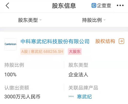 寒武紀南京新公司成立，強化人工智能軟件開發布局
